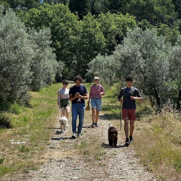 travel tuscany